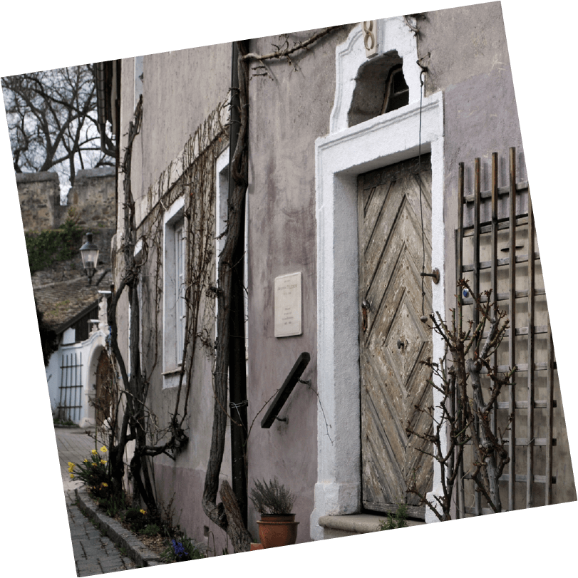 Wohnhaus_Burggasse_8_Credit_Manuel_Wandl